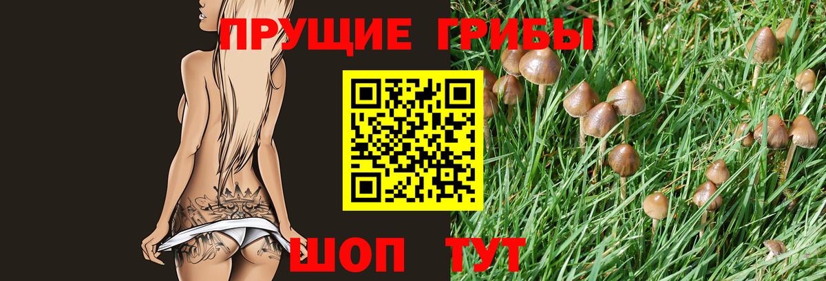 Боровичи  Галлюциногенные грибы MAGIC MUSHROOMS  Вход с VPN 