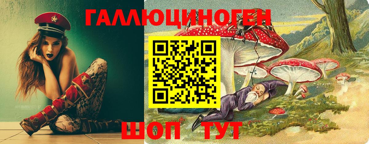 Псилоцибиновые грибы Psilocybe Боровичи